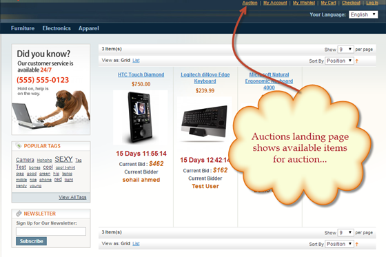 Magento Extension: Auction Module Magento